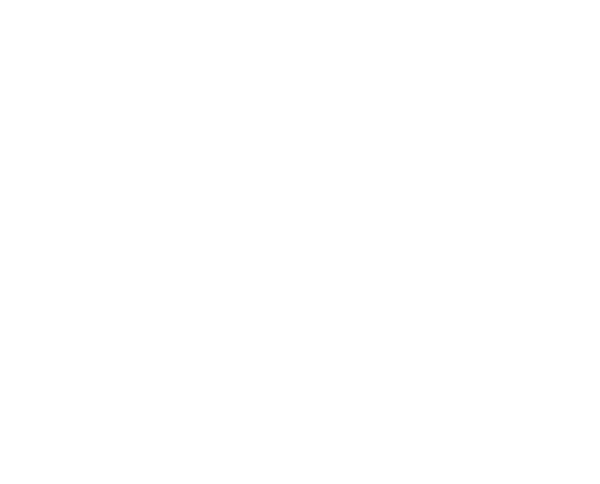 Bad Luck Banging or Loony Porn | Official Movie Website | A Magnolia  Pictures Film | Starring Katia Pascariu | Written and directed by Radu Jude  | Own it on DVD or watch on Digital HD