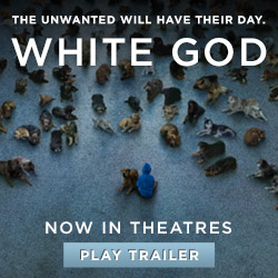 White God