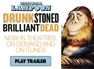 Drunk Stoned Brilliant Dead
